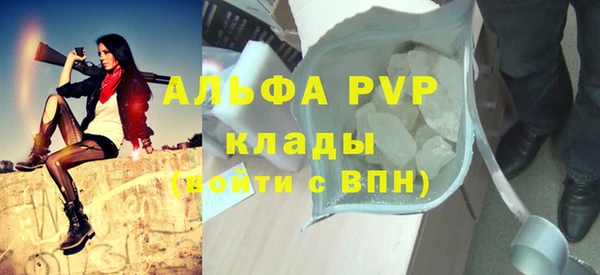 хмурый Бородино