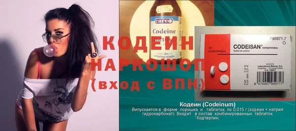 хмурый Бородино