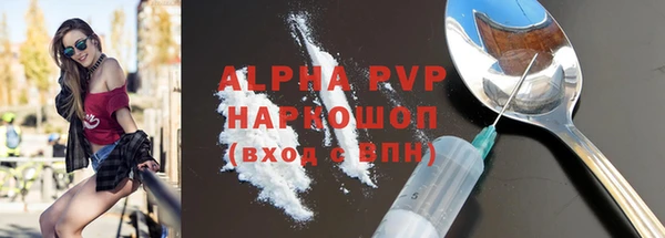хмурый Бородино