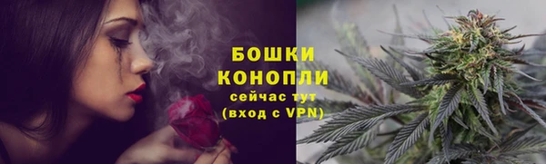 хмурый Бородино
