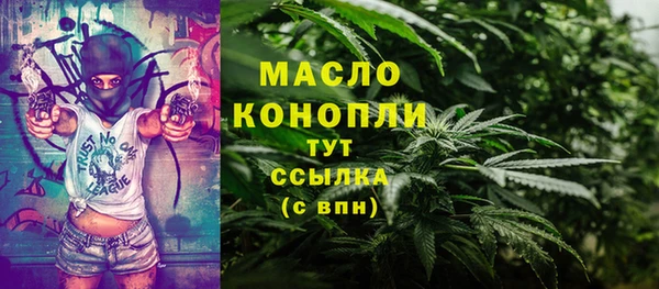 хмурый Бородино