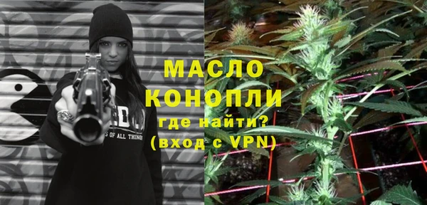 хмурый Бородино
