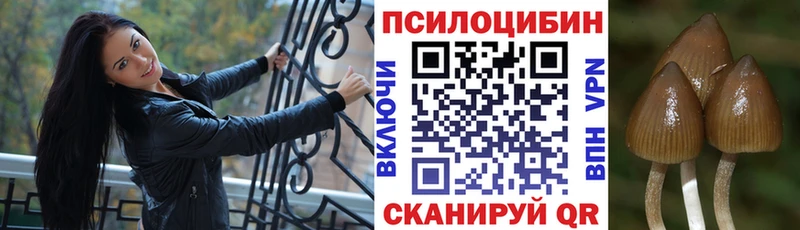 Галлюциногенные грибы мицелий  наркошоп  Кольчугино 